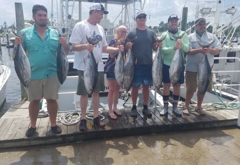  tuna