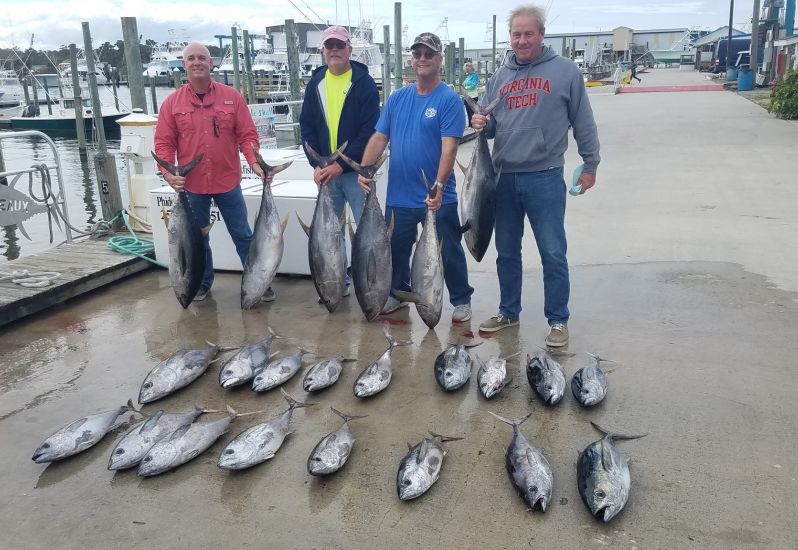 Tuna fishing continues