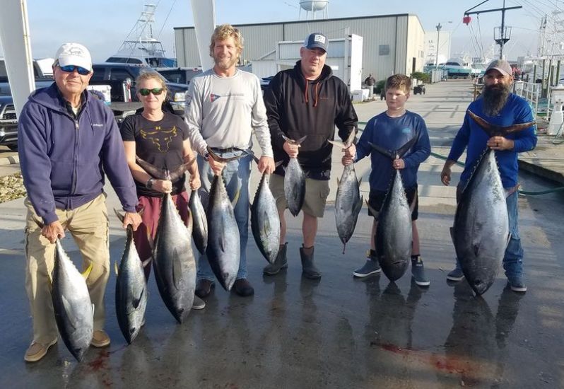 Big eye
