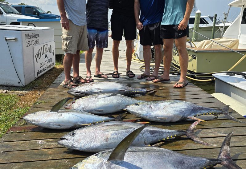 Big eyes and yellowfin