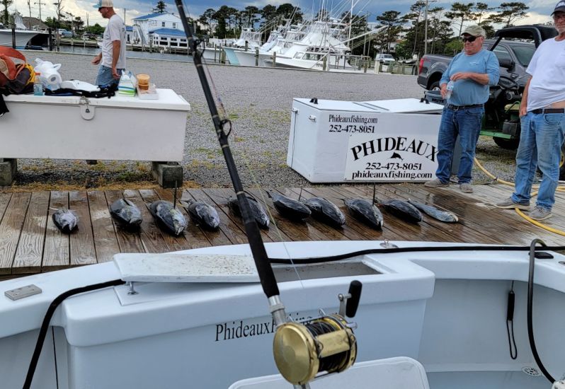 Great tuna fishing