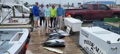 Phideaux Fishing Charters Outer Banks photo