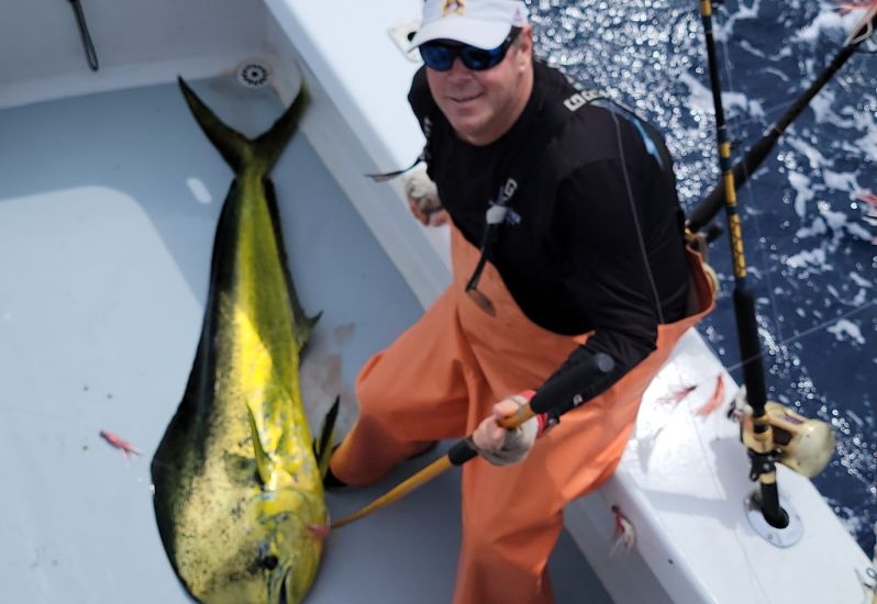 Mahi fishing