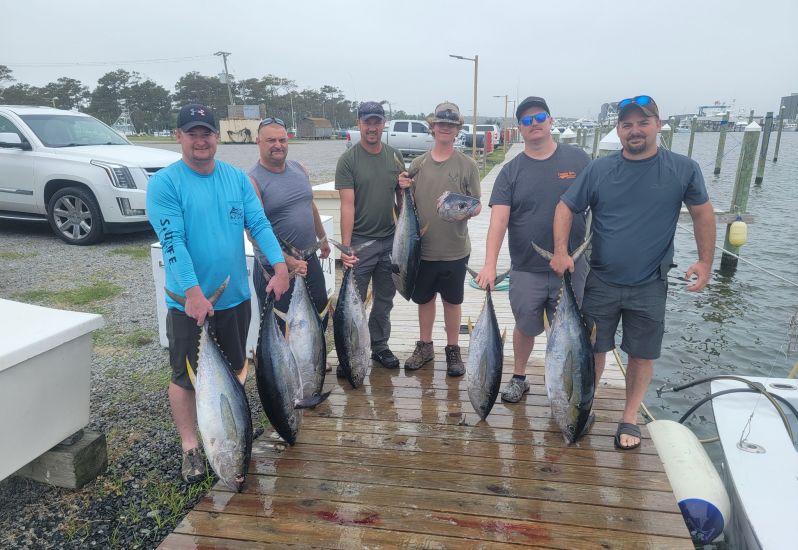 great tuna