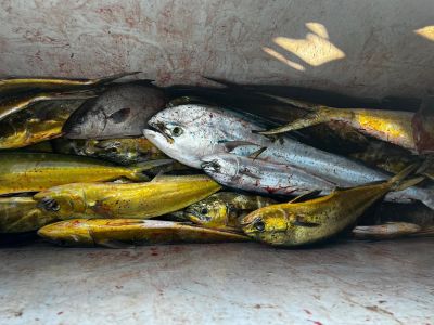 Phideaux Fishing Charters Outer Banks photo