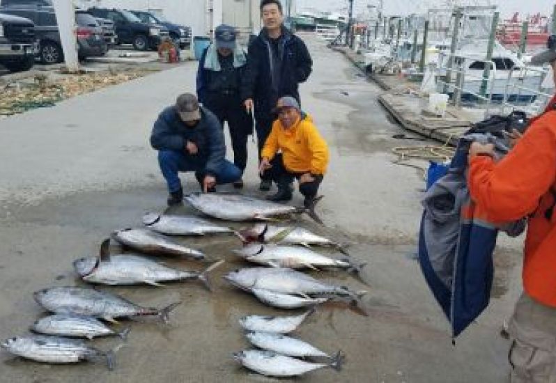 Phideaux Fishing