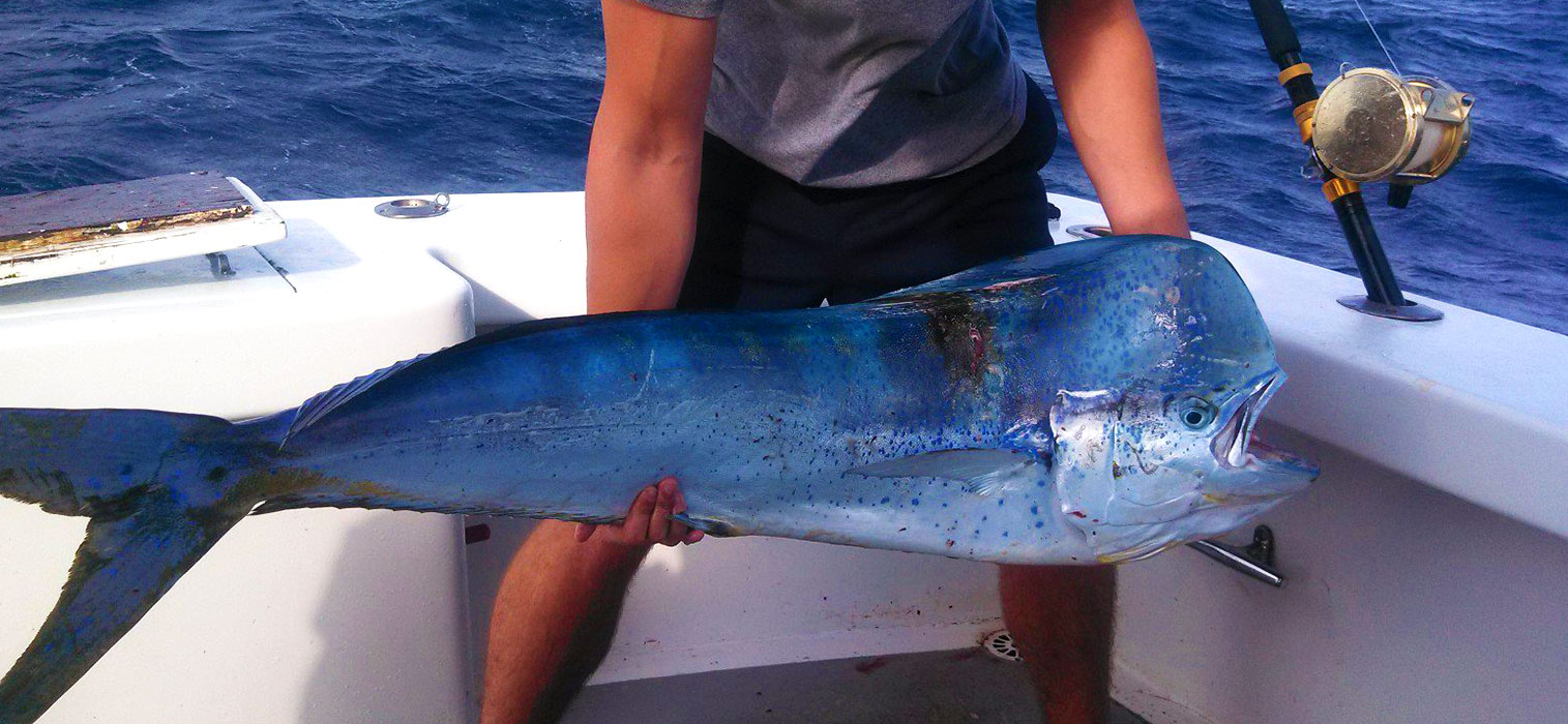 Phideaux Fishing Charters Outer Banks