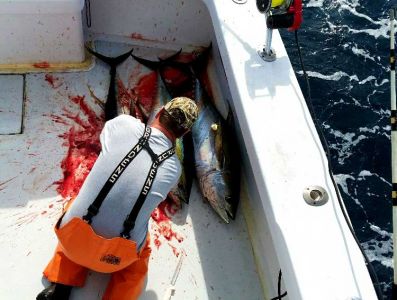 Phideaux Fishing Charters Outer Banks photo