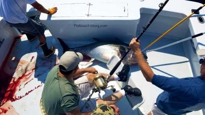 Phideaux Fishing Charters Outer Banks photo